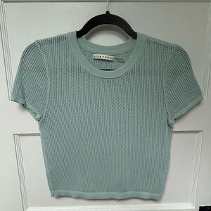 Alice and Olivia Mesh Top Size Small
